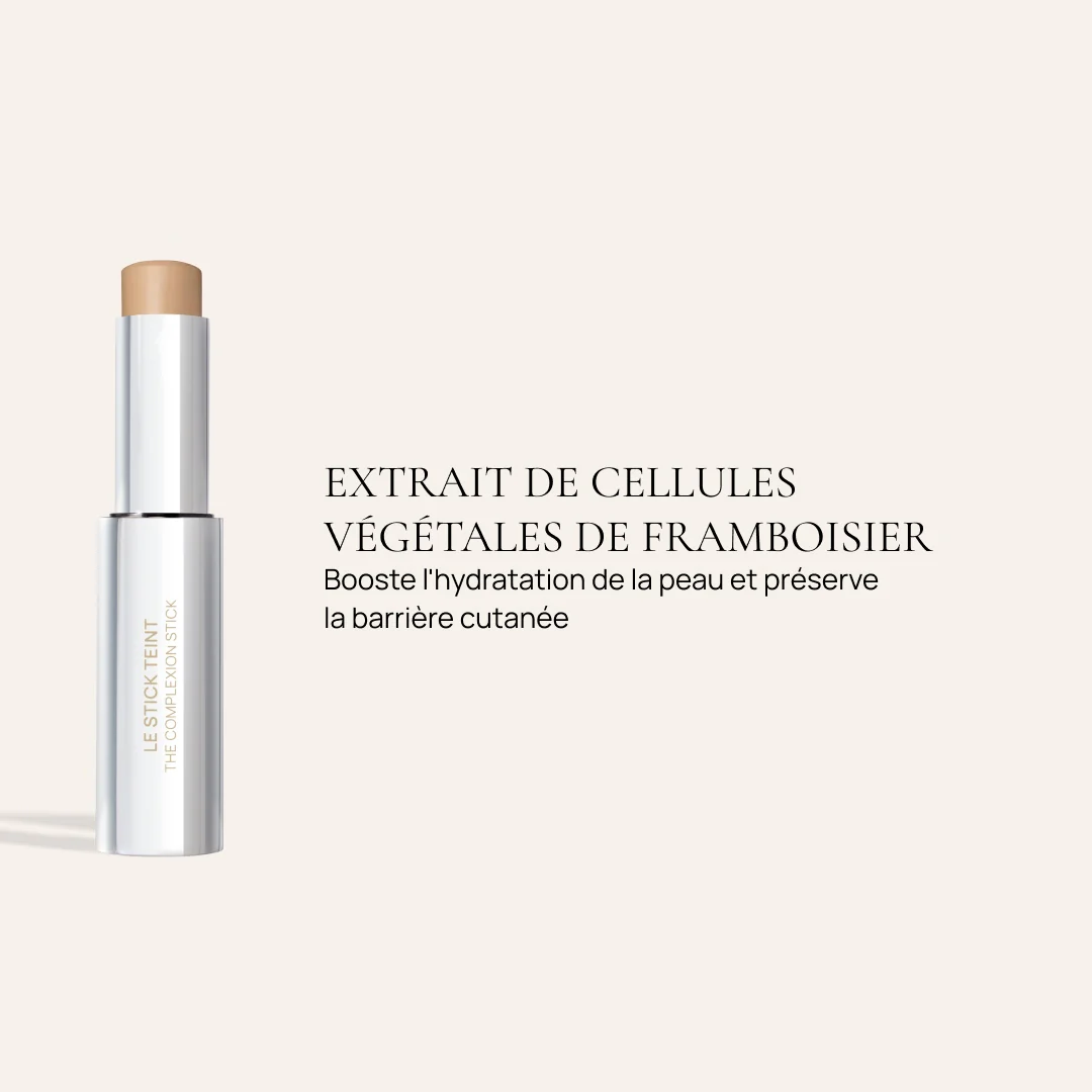 Le duo Stick teint & Pinceau - Image 6